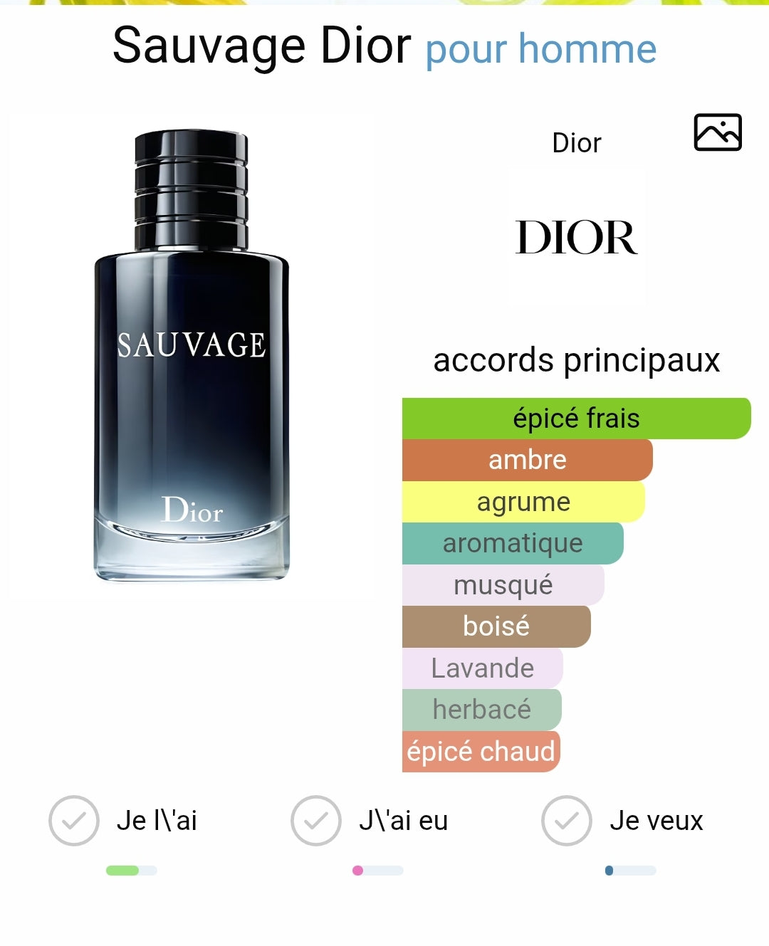 Glam Sauvag Extrait de parfum 50ml
