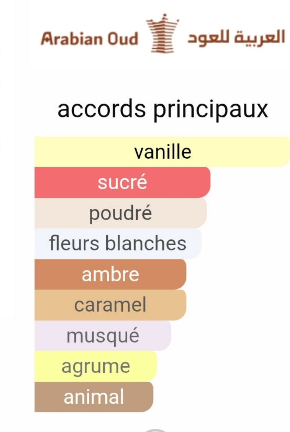 Glam Solid Extrait de parfum 50ml